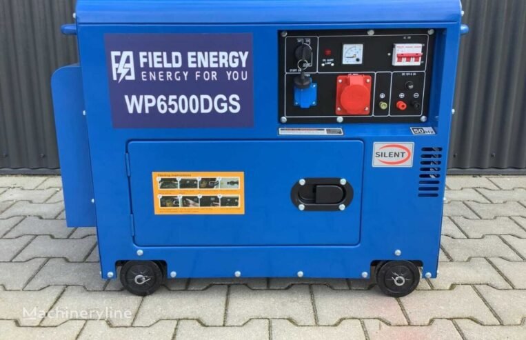 industrial-equipment-diesel-generator-Field-Energy-6500-DGS-1710302507764530404_big-24031302010959386000_1